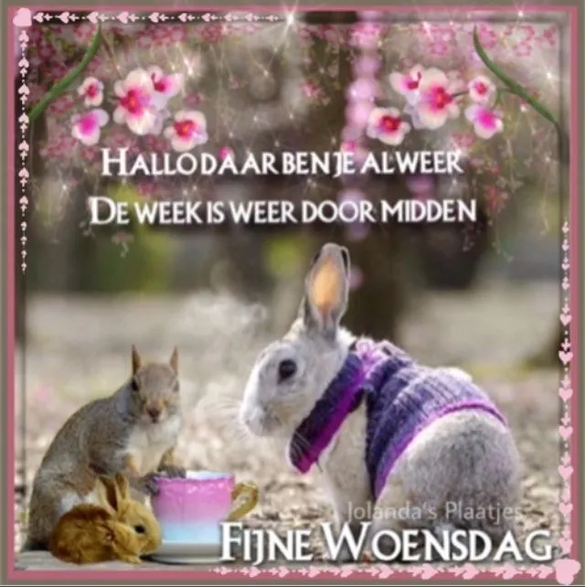 ᐅ fijne woensdag winter - Woensdag plaatjes