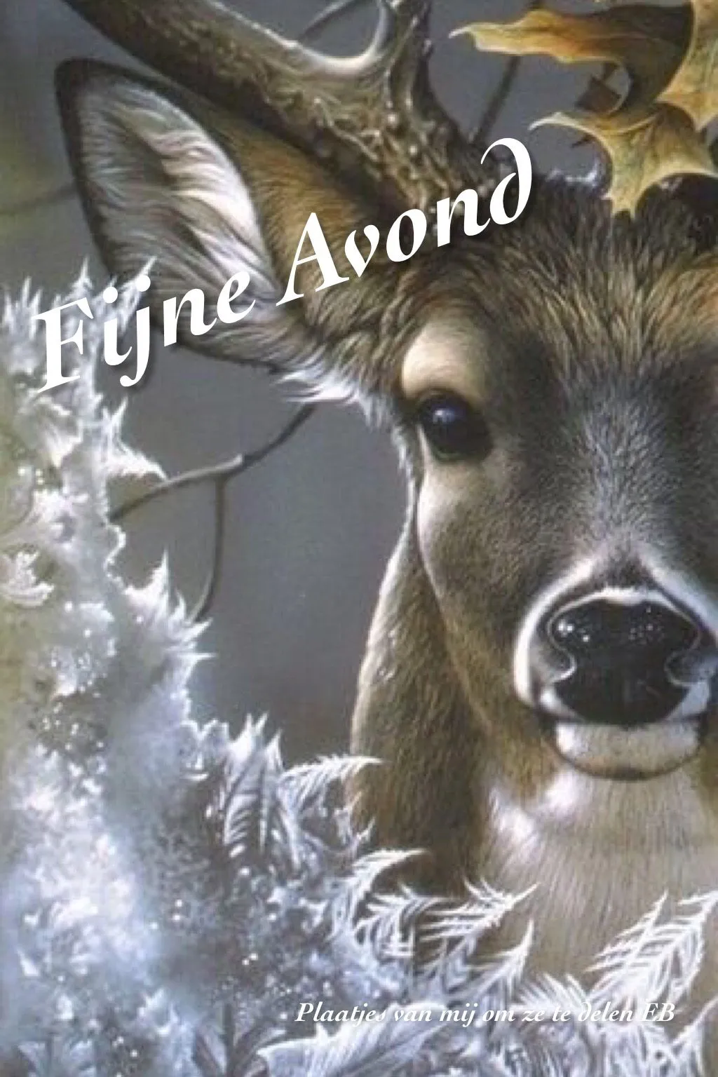 ᐅ fijne woensdag winter - Woensdag plaatjes