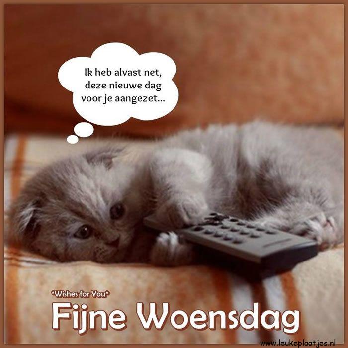 ᐅ fijne woensdagavond - Woensdag plaatjes