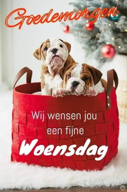 ᐅ fijne woensdagavond - Woensdag plaatjes