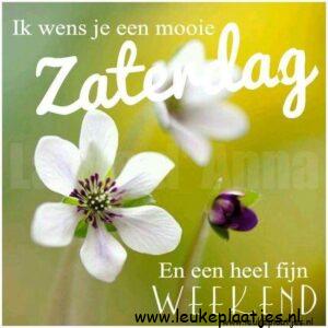 fijne zaterdag