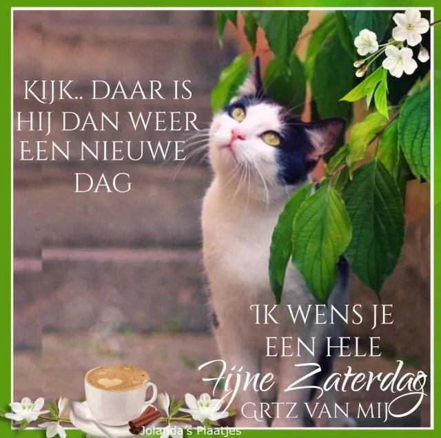ᐅ fijne zaterdag - Zaterdag plaatjes ᐅ fijne zaterdag - Zaterdag plaatjes