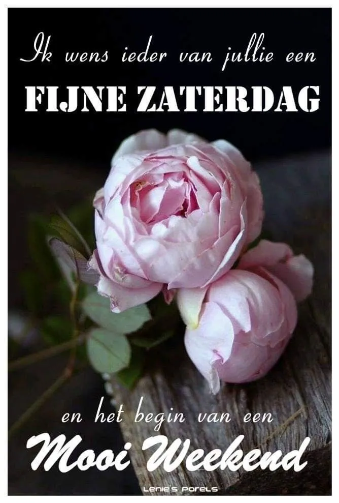 ᐅ fijne zaterdag - Zaterdag plaatjes ᐅ fijne zaterdag - Zaterdag plaatjes
