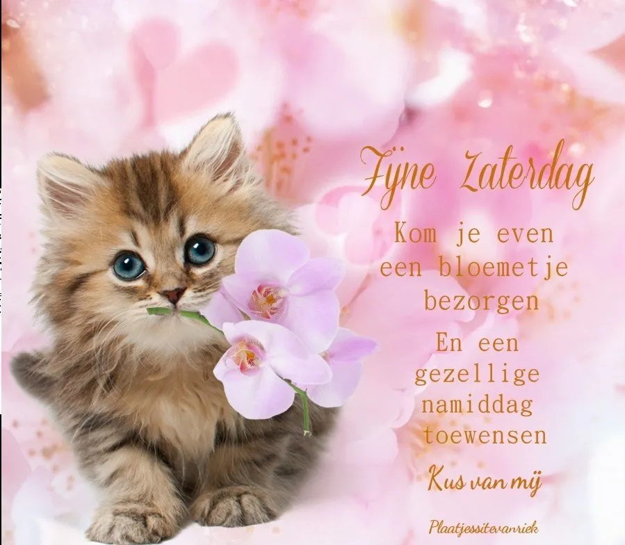 ᐅ fijne zaterdag - Vrijdag plaatjes