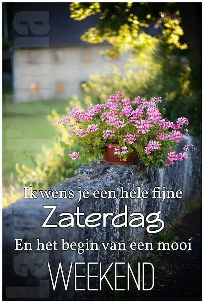 ᐅ fijne zaterdag - Vrijdag plaatjes