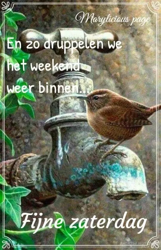 ᐅ fijne zaterdag - Vrijdag plaatjes