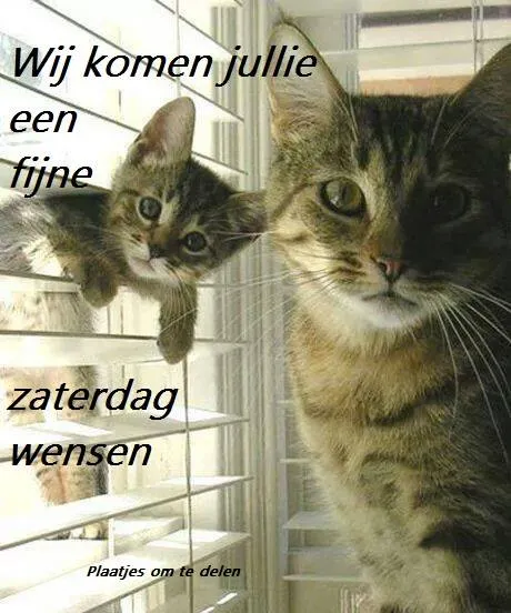 ᐅ fijne zaterdag - Vrijdag plaatjes