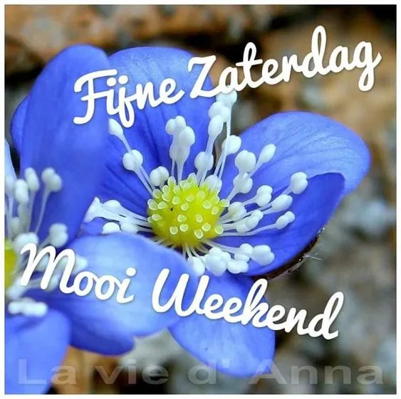 ᐅ fijne zaterdag - Vrijdag plaatjes