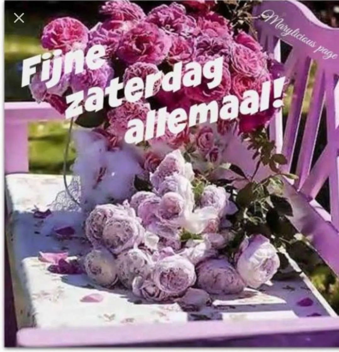 ᐅ fijne zaterdag bloemen - Zaterdag plaatjes