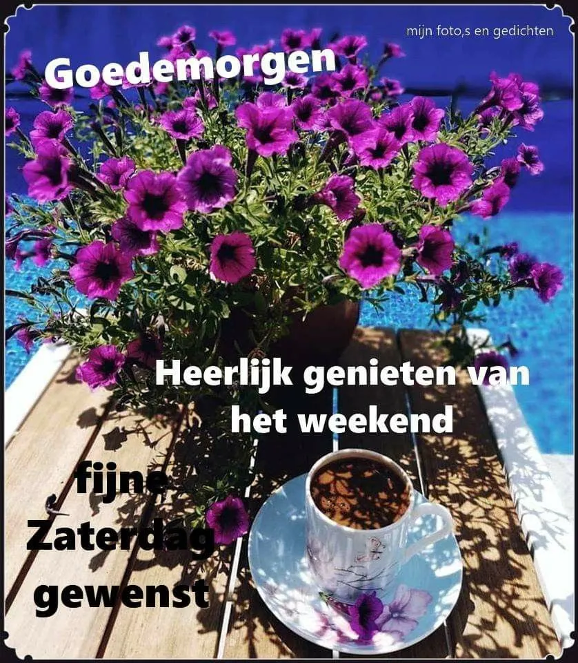 ᐅ fijne zaterdag bloemen - Zaterdag plaatjes