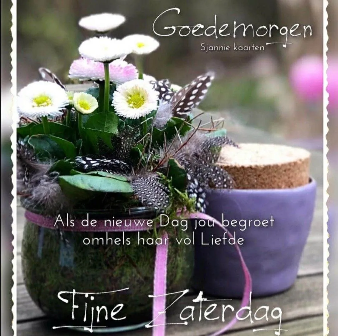 ᐅ fijne zaterdag bloemen - Zaterdag plaatjes