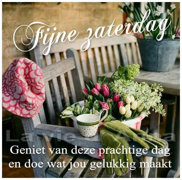ᐅ fijne zaterdag bloemen - Zaterdag plaatjes