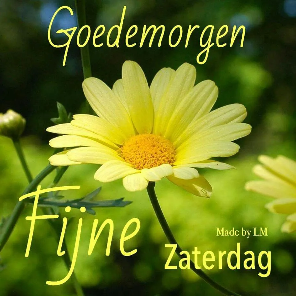 ᐅ fijne zaterdag bloemen - Zaterdag plaatjes