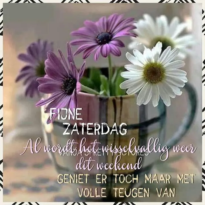 ᐅ fijne zaterdag bloemen - Zaterdag plaatjes