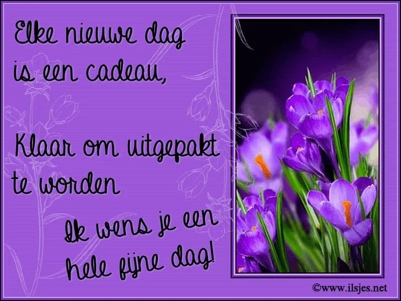 ᐅ fijne zaterdag bloemen - Zaterdag plaatjes
