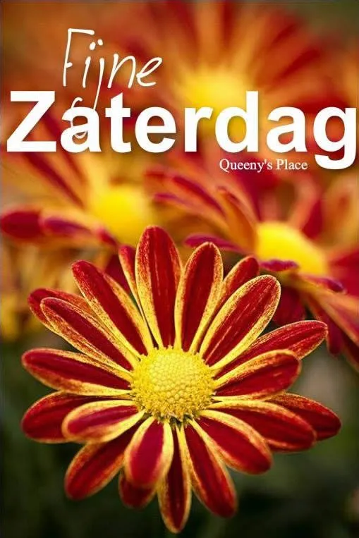 ᐅ fijne zaterdag bloemen - Zaterdag plaatjes