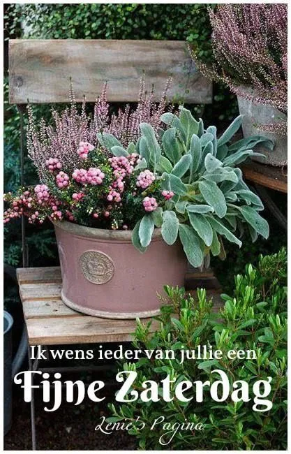 ᐅ fijne zaterdag bloemen - Zaterdag plaatjes