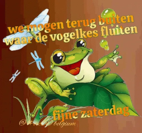 ᐅ fijne zaterdag gif - Zaterdag plaatjes