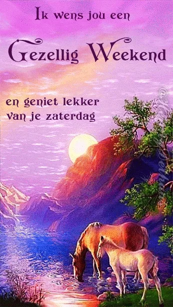 ᐅ fijne zaterdag gif - Zaterdag plaatjes