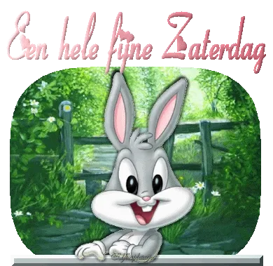 ᐅ fijne zaterdag gif - Zaterdag plaatjes