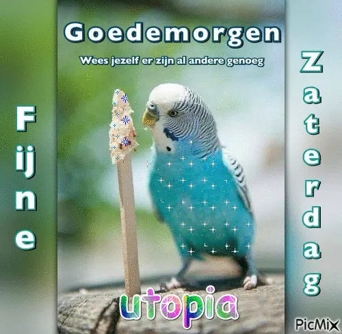 ᐅ fijne zaterdag gif - Zaterdag plaatjes