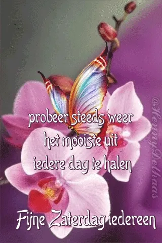 ᐅ fijne zaterdag gif - Zaterdag plaatjes