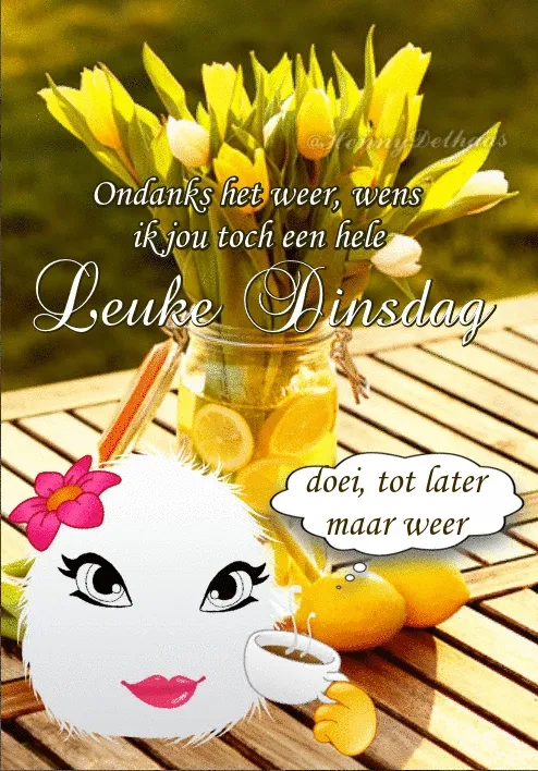 ᐅ fijne zaterdag gif - Zaterdag plaatjes