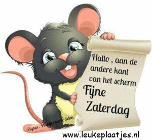 fijne zaterdag humor