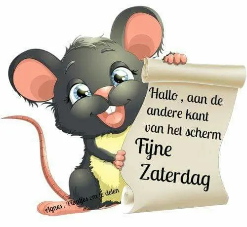 ᐅ fijne zaterdag humor - Zaterdag plaatjes