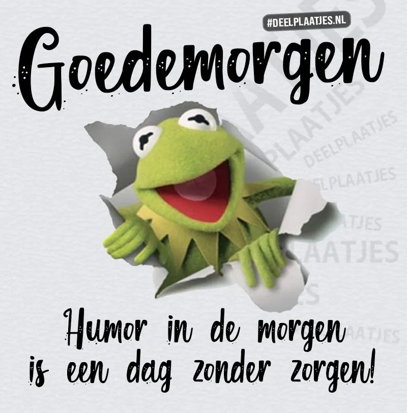 ᐅ fijne zaterdag humor - Zaterdag plaatjes