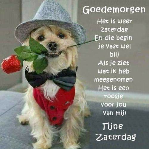 ᐅ fijne zaterdag humor - Zaterdag plaatjes ᐅ fijne zaterdag humor - Zaterdag plaatjes