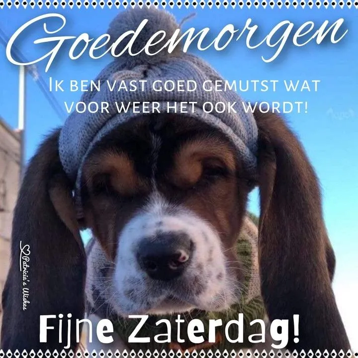 ᐅ fijne zaterdag humor - Zaterdag plaatjes