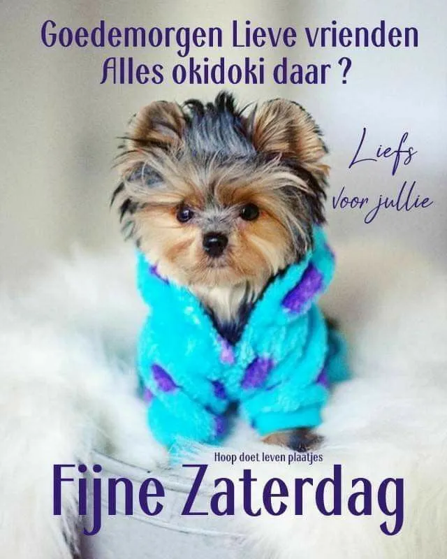 ᐅ fijne zaterdag humor - Zaterdag plaatjes