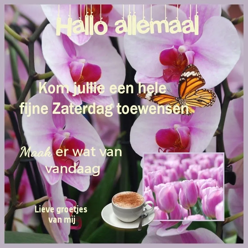Achtergrond met bloeiende orchideeën, vlinder en tekst over een fijne zaterdag.