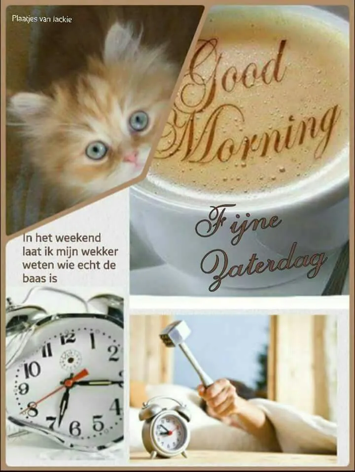 Kattensnor en koffie met "Goedemorgen" en wekker voor een gezellige zaterdag.