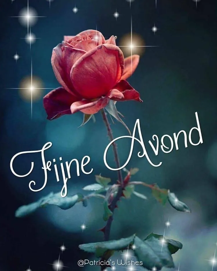 Roze roos met de tekst "Fijne Avond" op een sfeervolle achtergrond.