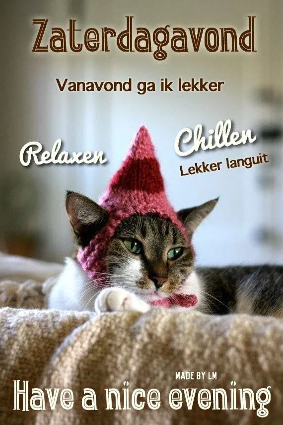 Kat ligt met een roze muts op, omgeven door tekst over ontspannen en genieten.