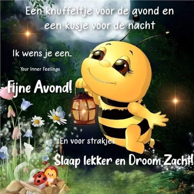 Illustratie van een bij met een lantaren, met de tekst 'Fijne Avond!' en 'Slaap lekker'.