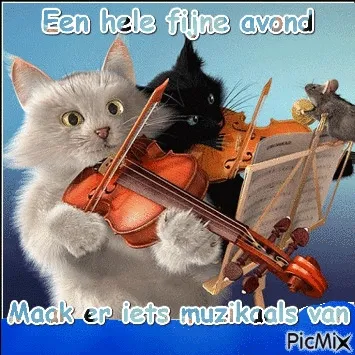 Twee katten spelen violen voor een vrolijkere avond.