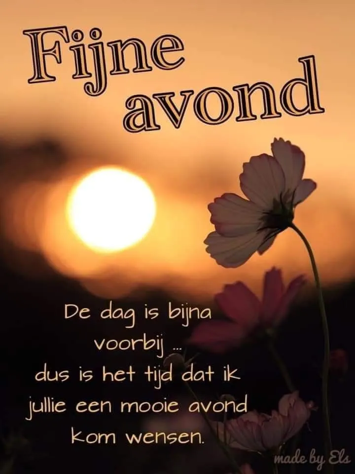 Zonsondergang met bloemen en tekst: "Fijne avond, een mooie avond gewenst."