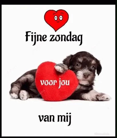 Een schattige puppy met een hartje, met de tekst: "Fijne zondag voor jou van mij".