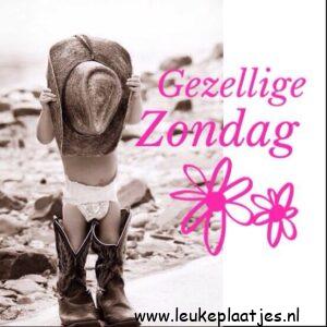 fijne zondag gewenst