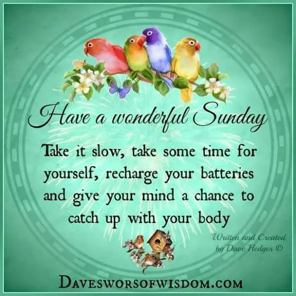 Kleurige vogels met een boodschap voor een ontspannen zondag.