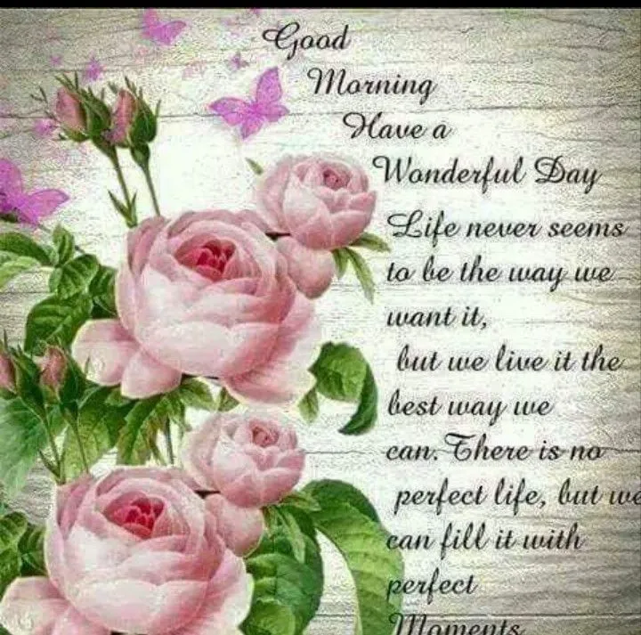 Rozen met een groet voor een mooie dag en een positieve boodschap.