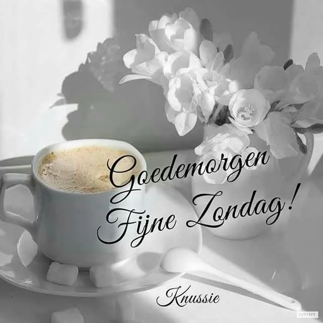 Een kopje koffie met bloemen, met de tekst "Goedemorgen, Fijne Zondag!" geschreven.