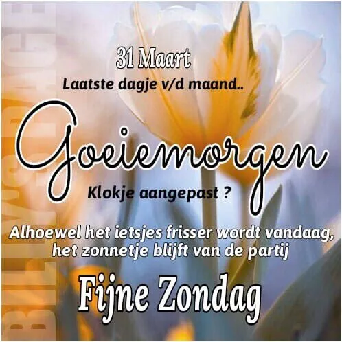 Tekst met bloemenachtergrond, informatie over de dag en een positieve boodschap.