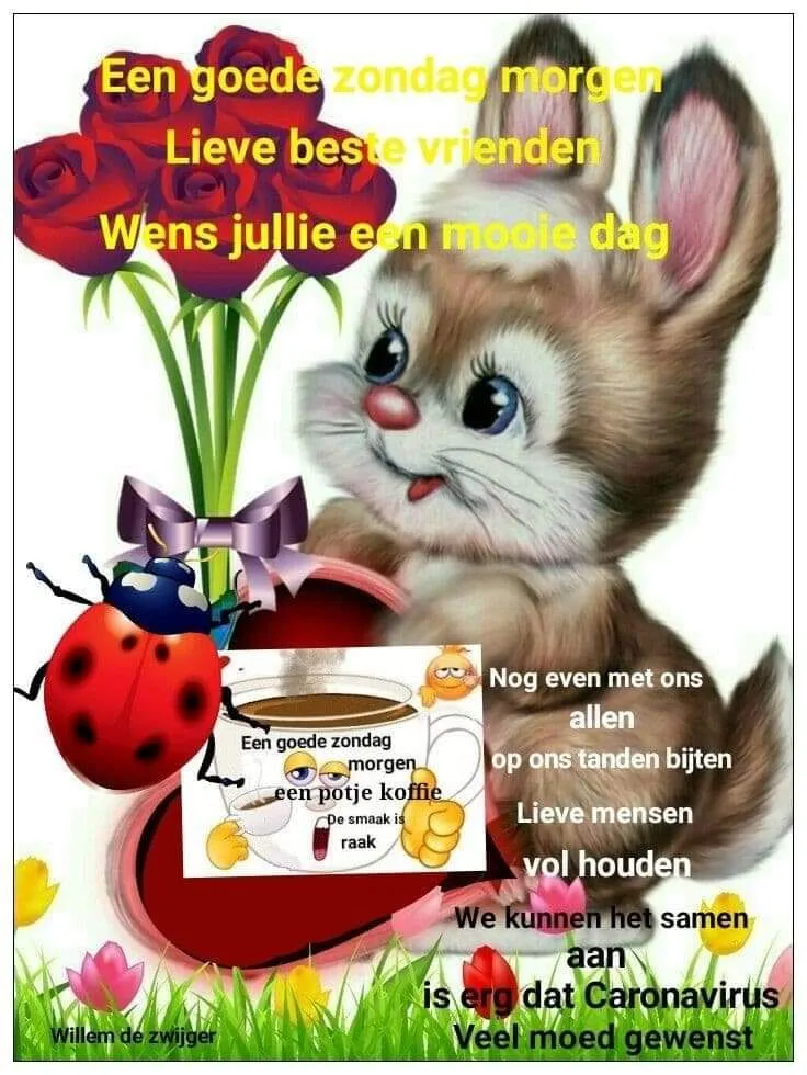 Kleurrijke illustratie met een konijn en een lieveheersbeestje, boodschap voor een fijne zondag.