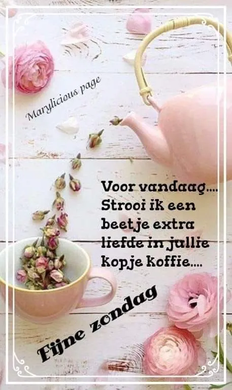 Roze rozen en een theepot op een tafel met een positieve boodschap voor de zondag.