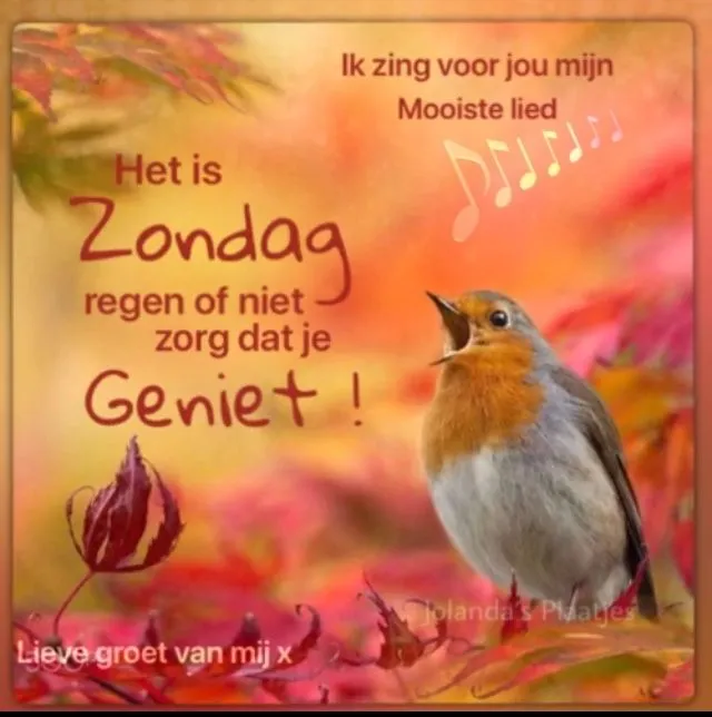 Vogeltje zingt op een herfstachtergrond met tekst over zondag en genieten.
