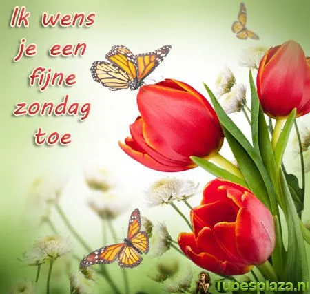 Een kleurrijke bloemencompositie met vlinders en een wens voor een fijne zondag.
